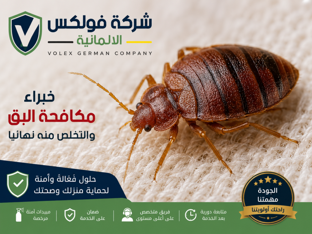 التخلص من البق